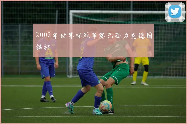 2002年世界杯冠军赛巴西力克德国捧杯