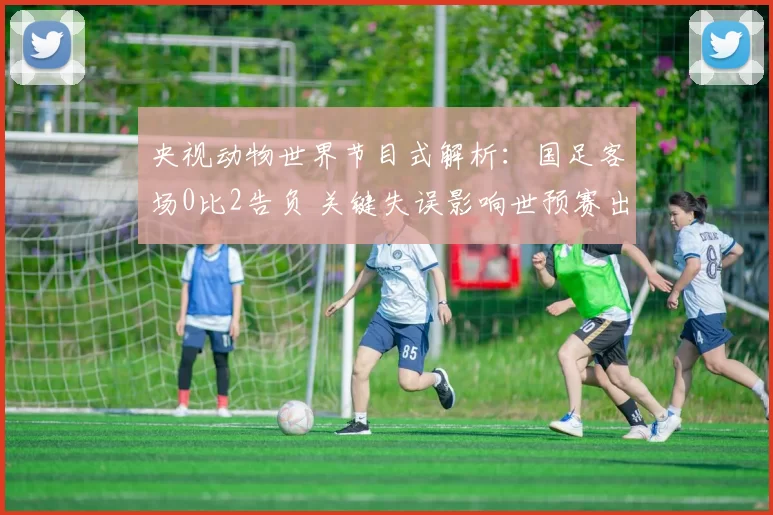 央视动物世界节目式解析：国足客场0比2告负 关键失误影响世预赛出线前景