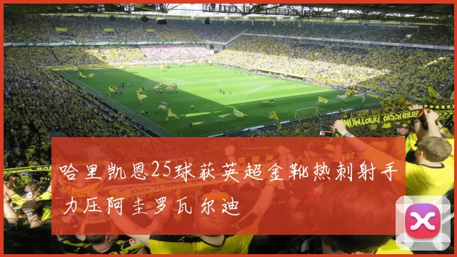 哈里凯恩25球获英超金靴热刺射手力压阿圭罗瓦尔迪