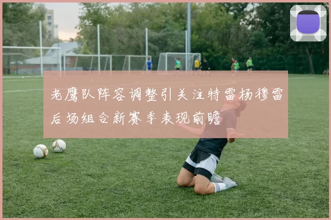 老鹰队阵容调整引关注特雷杨穆雷后场组合新赛季表现前瞻