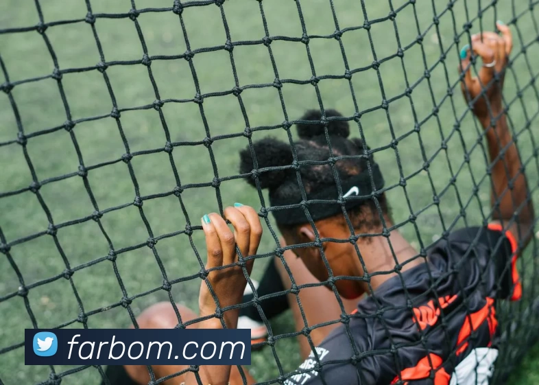 星空app官方登录入口发展历程